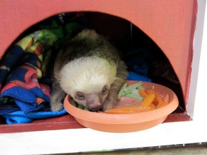 downloaded feb 25 2012 093