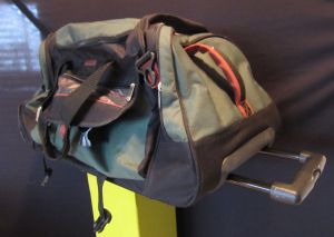 I am sooo not going to bother with dealing with carry-on this trip.