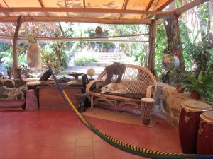 Wooly and I recovery from a morning of family chaos!