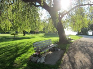 Well manicured lawns.