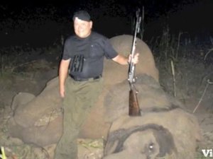 godaddy-ceo-elephants