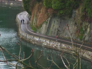 Early morning on Stanley Park seawall photo credit: 