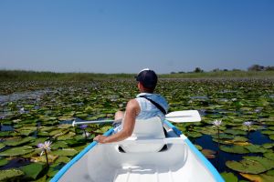 Canoeing on the stream full of water lilies with Jay, Pat and Mandy's son.